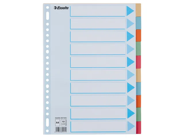 Tabbladen Esselte Premium A4 10-delig karton 23-rings assorti