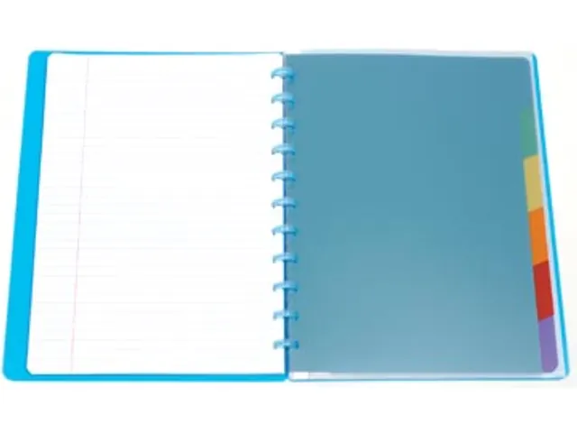 Toebehoren Voor Schriften Set A4 Van 6 Tabbladen Uit Pp In 6 Kleuren