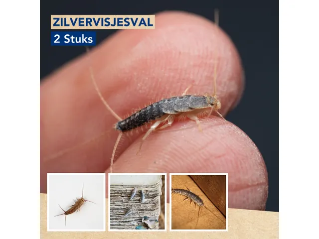 Green Choice Zilvervisjesval 2 Stuks