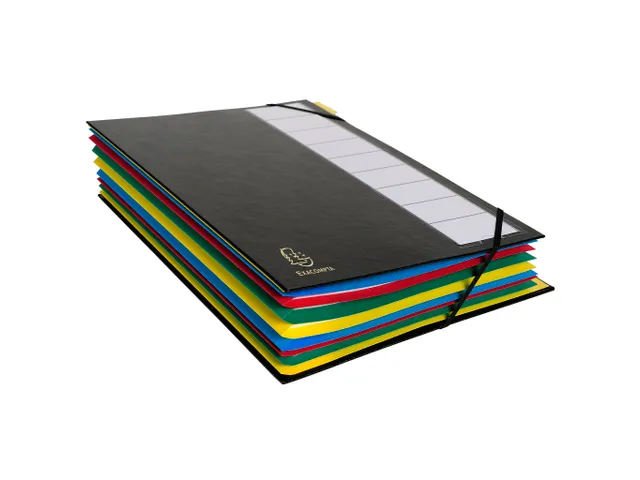 Trieur rigide Ordonator dos extensible 12 compartiments - Couleurs ass