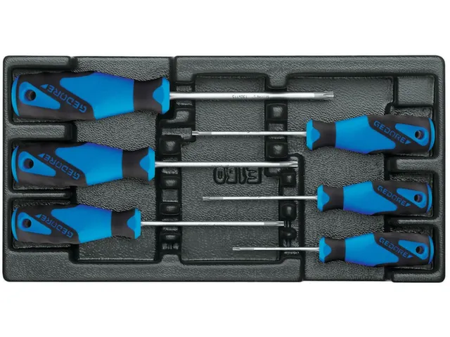 1500 ES-2163 TX Schroevendraaierset in 1/3 ES-module