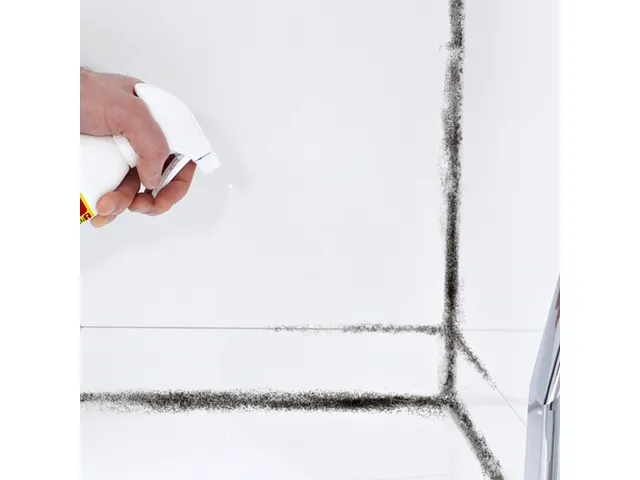 Schimmelreiniger HG badkamer spray 500ml