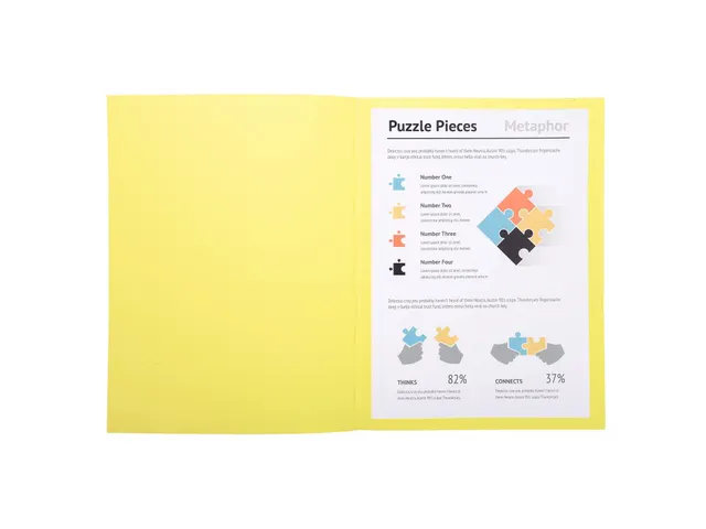 100 Dossiermappen Super 250 24x32cm Assorti