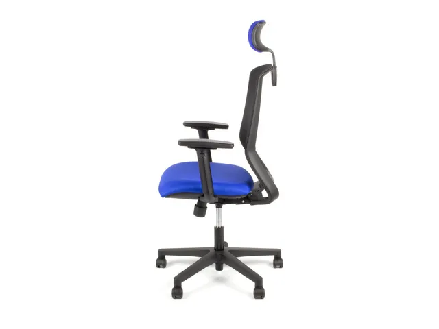 Chaise de bureau Linea Tekna 01/PT noir/bleu avec accoudoirs 3D