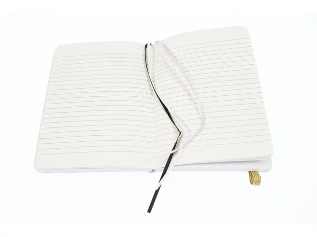 Carnet de notes Pure Croco A6 ligné 2 pces 80gramme 160pages noir et