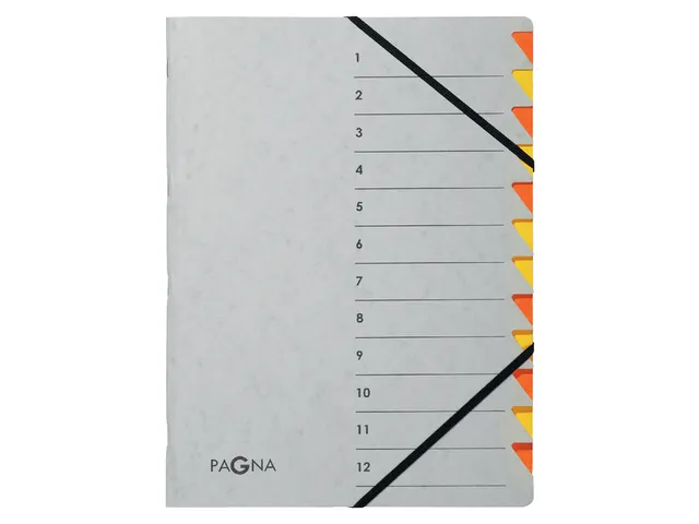 Sorteermap Pagna Easy 12 vaks A4 Grijs/Oranje karton