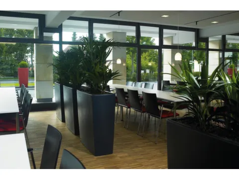 plantenpot,trapeziumvormig,PE,antracietgrijs,HxBxD 900x900x390mm,55l