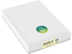 Evercolor gekleurd Gerecycleerd Papier A3 Geel