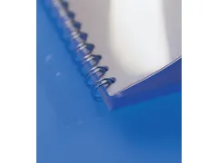 Filestrip Gbc 34-gaats A4 Transparant 100stuks