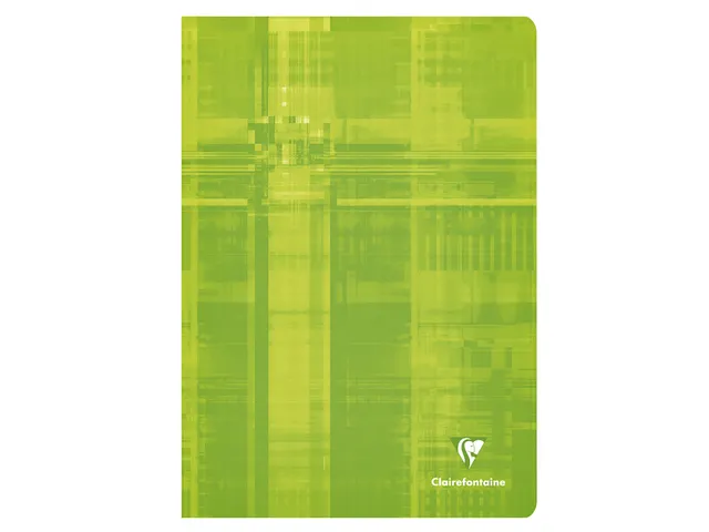 Schrift Clairefontaine A4 ruit 4x8mm 80 pagina's 90gr assorti