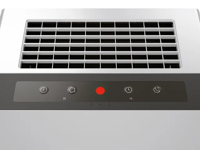 Luchtreiniger IDEAL AP 80 PRO