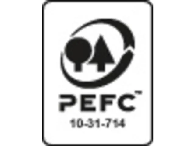 Pk 100 Cards 100X150 Asst Lined