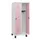 schoollocker,HxBxD 1630x600x500mm,2vak,vak B 300mm,draaigrendel,voeten
