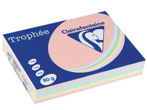 Trophée Pastel gekleurd papier A4 80 gram 500vel Assorti