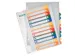 Tabblad Leitz WOW A4+ 11-gaats 1-12 PP assorti
