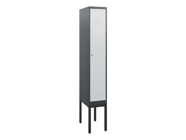 locker,HxBxD 1950x300x500mm,1vak,vak B 300mm,cil.-slot,voetonderstel