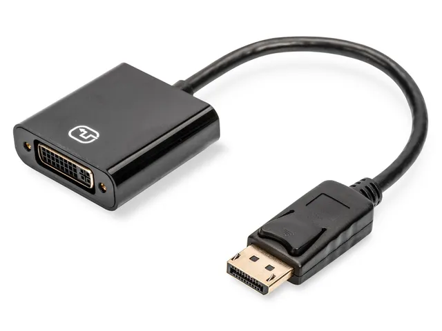 DisplayPort-adapter / -converter Zwart M/F