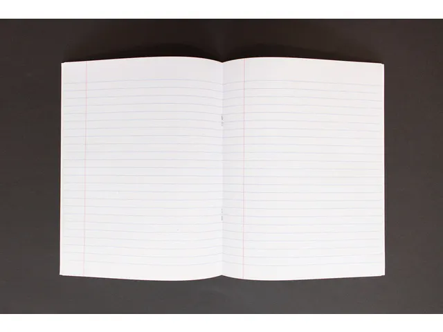 Cahier Classy Black A5 Ligné 80 pages 60g avec marge Lot 3 pièces