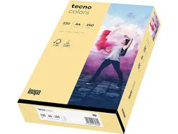 Inapa Tecno colors Gekleurd papier A4 Chamois 120 gram 250 vel