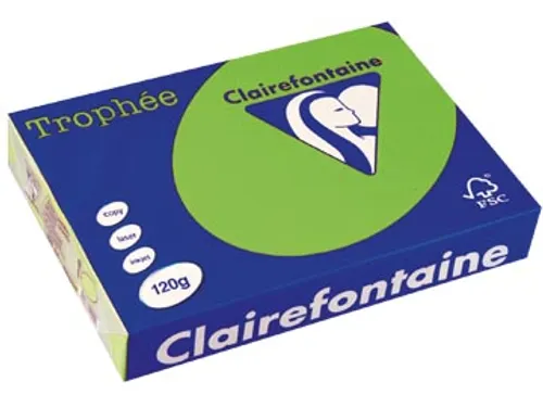 Trophée Intens Gekleurd Papier A4 120 gram 250vel Grasgroen