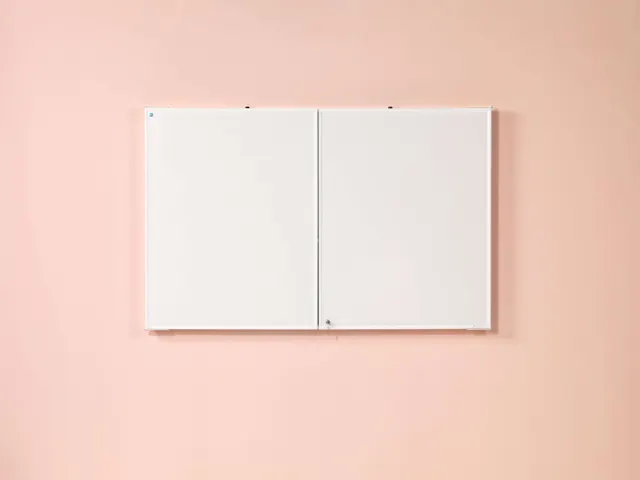 Smit Visual Armoire Tableau émaillé 120x190cm Emaillé Blanc mat