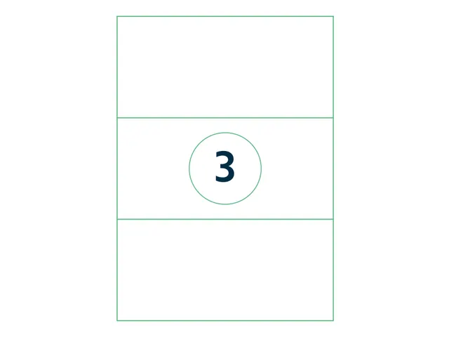 Etiket Premium 210x99mm Wit XL Pack 1000 Vel