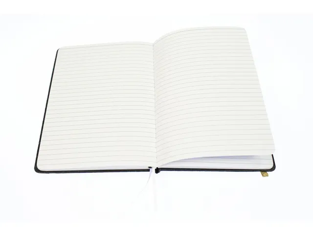 Carnet de notes Pure Croco A5 ligné 2 pces 80gramme 160pages noir et