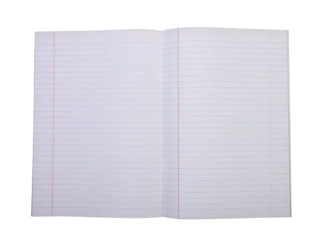 Schrift Qbasic A4 lijn 80blz 70gr assorti