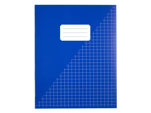 Schrift Kangaro A5 ruit 10mm 80pagina's 60gram 10 stuks assorti