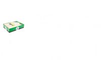 Biodore Mes hout 165mm 100 stuks