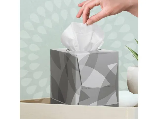 Mouchoir Kleenex 2 épaisseurs Blanc Cube 21,5x2018cm 12x 90 mouchoirs