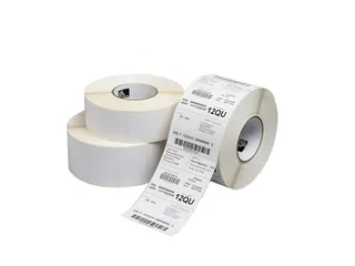 Labeletiket Zebra 1000D 800284-605 102x152mm wit - 1