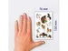 papieretiket Z-design Kids pakje a 2 vel paarden
