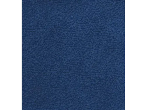 Fauteuil Echt Leer Zit Hxbxd 46X48X49Cm Totale Hxb 77X69Cm Donkerblauw