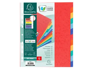 Tabbladen glanskarton 225g 12-delig A4 maxi Assorti - 4