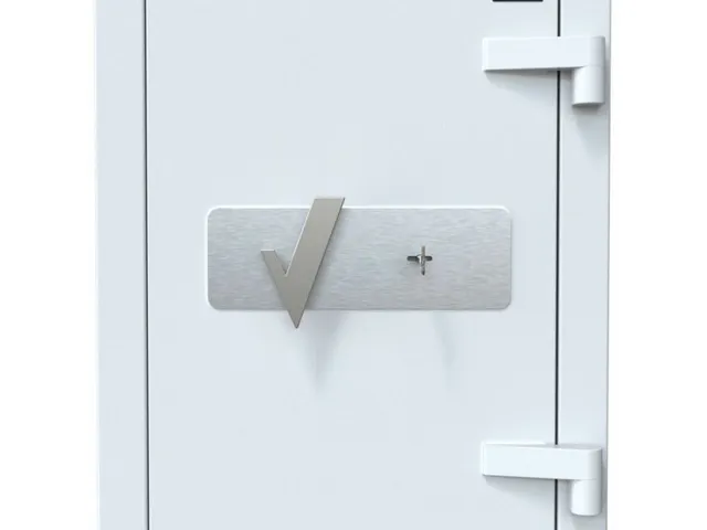 Salvus Ancona 2 opiatenkluis 85x51x51 thermo-elektrische koeling