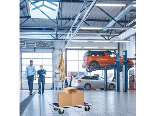 Transportkar BRASQ zonder duwbeugel 300kg