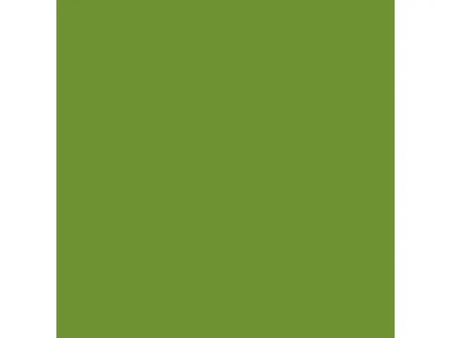 Servet 20x20cm BIO Dunisoft 1/4 vouw bladgroen 2880 stuks