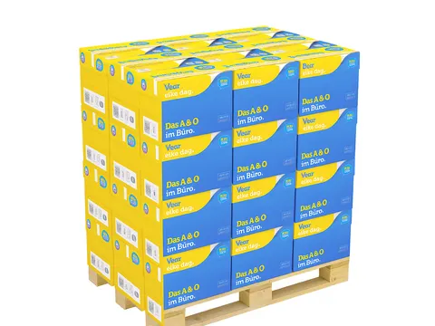 Kopieerpapier Datacopy A4 80 Gram Wit Halve Pallet