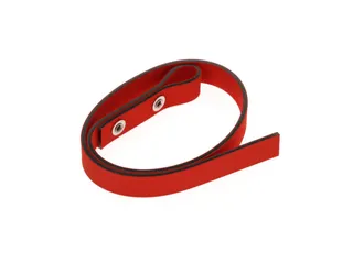 R19991019 Vervangingsband 490mm voor bandsleutel - 3