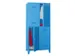 Armoire vestiaire à deux niveaux,RAL7035,face avant RAL6011