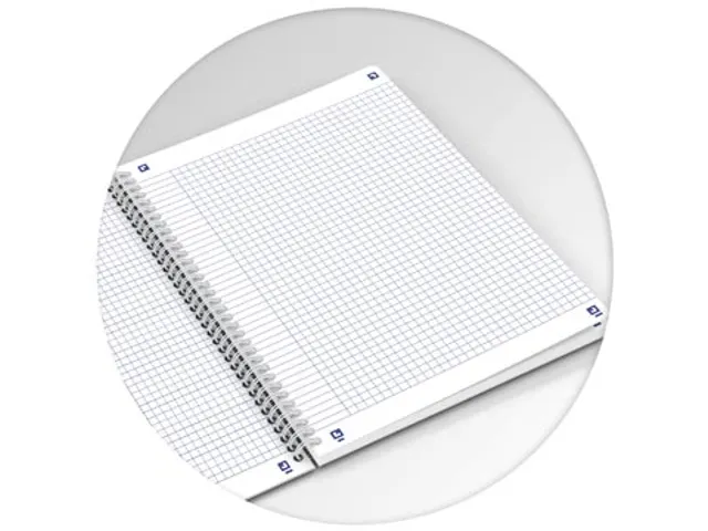 Iconics spiraalschrift B5 assorti