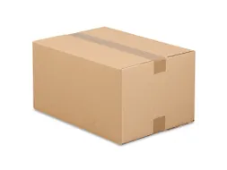 Amerikaanse Vouwdoos Enkelgolf 230x190x160mm 20 Stuks
