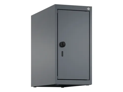opzetkast,v. locker,1vak.,vak B 250mm,HxBxD 500x250x500mm,vleugeldeur