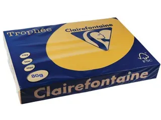 Trophée Pastel gekleurd papier A3 80 gram 500 vel goudgeel - 2
