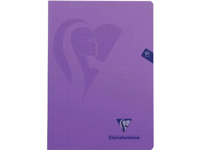 Schrift Pp A4 80Blz ruit 10mm Assorti