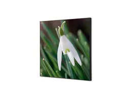 Wanddecoratie Textiel Set 40x40cm Witte Bloem Sneeuwklokje