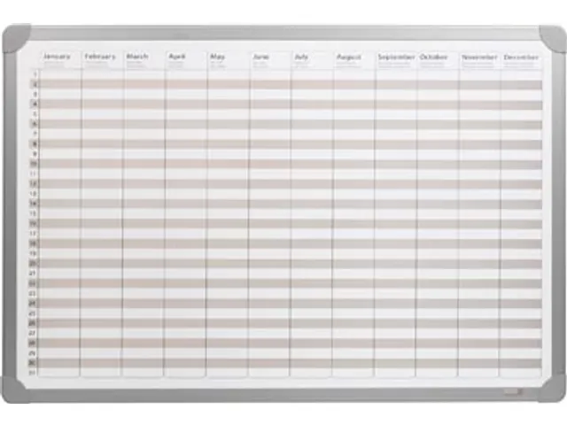 Desq Planning Annuel Magnétique