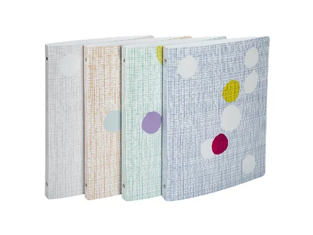 Ringmap PP 4 ringen 15mm A4 LZC