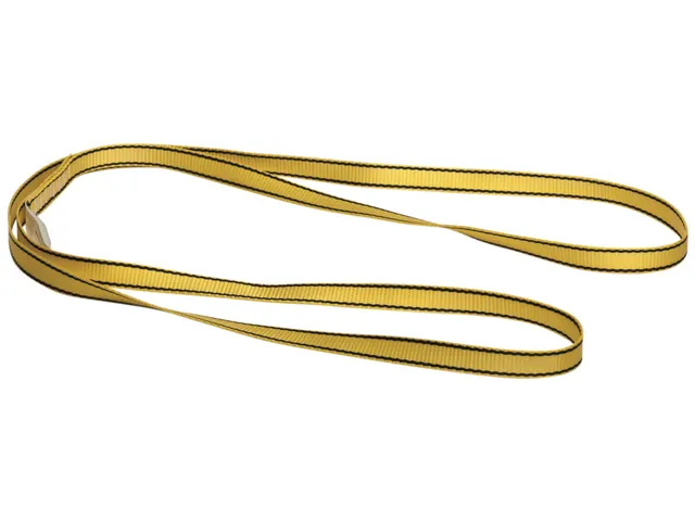 MSA Workman ankerstrop